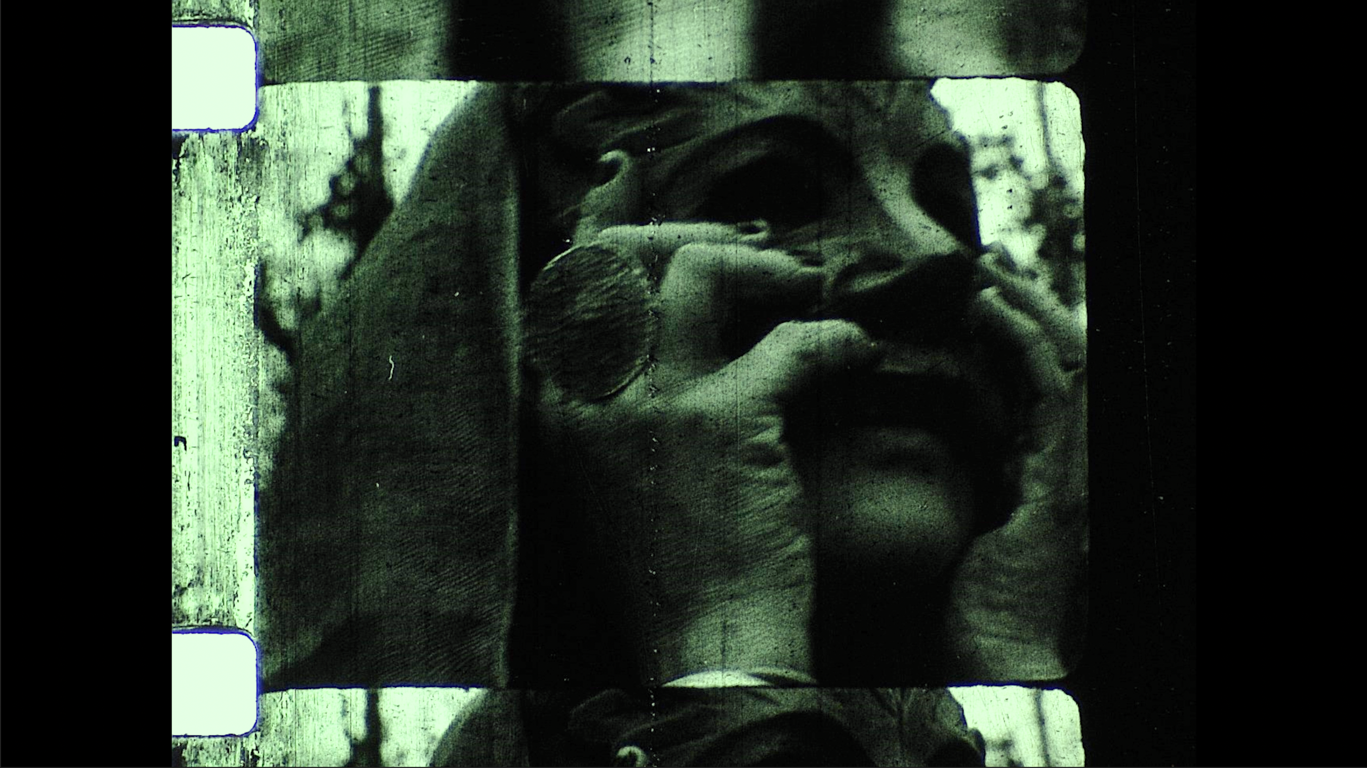 Hart of the Wood at Newstead Abbey