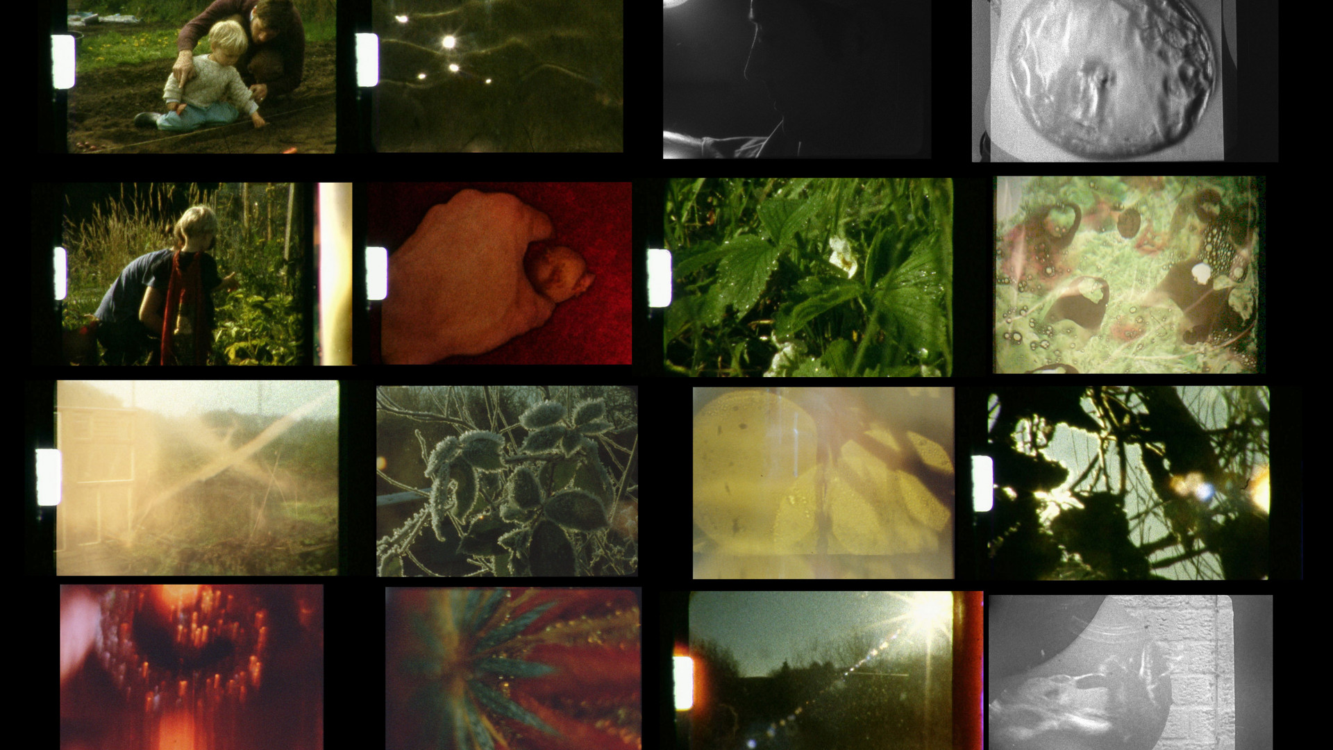 A Life On Earth - Feature Film