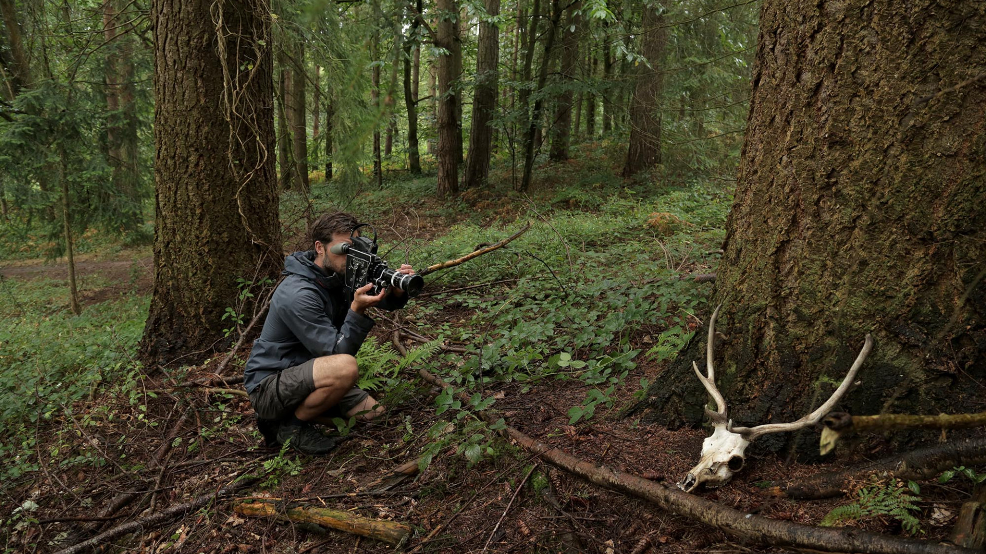 ARTS COUNCIL ENGLAND & NATIONAL TRUST: HART OF THE WOOD LIVE ART